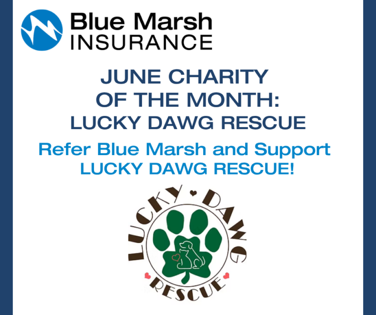 lucky dawg animal rescue